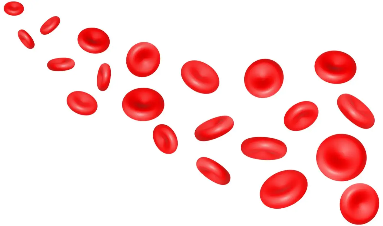 OPT_BloodPressure