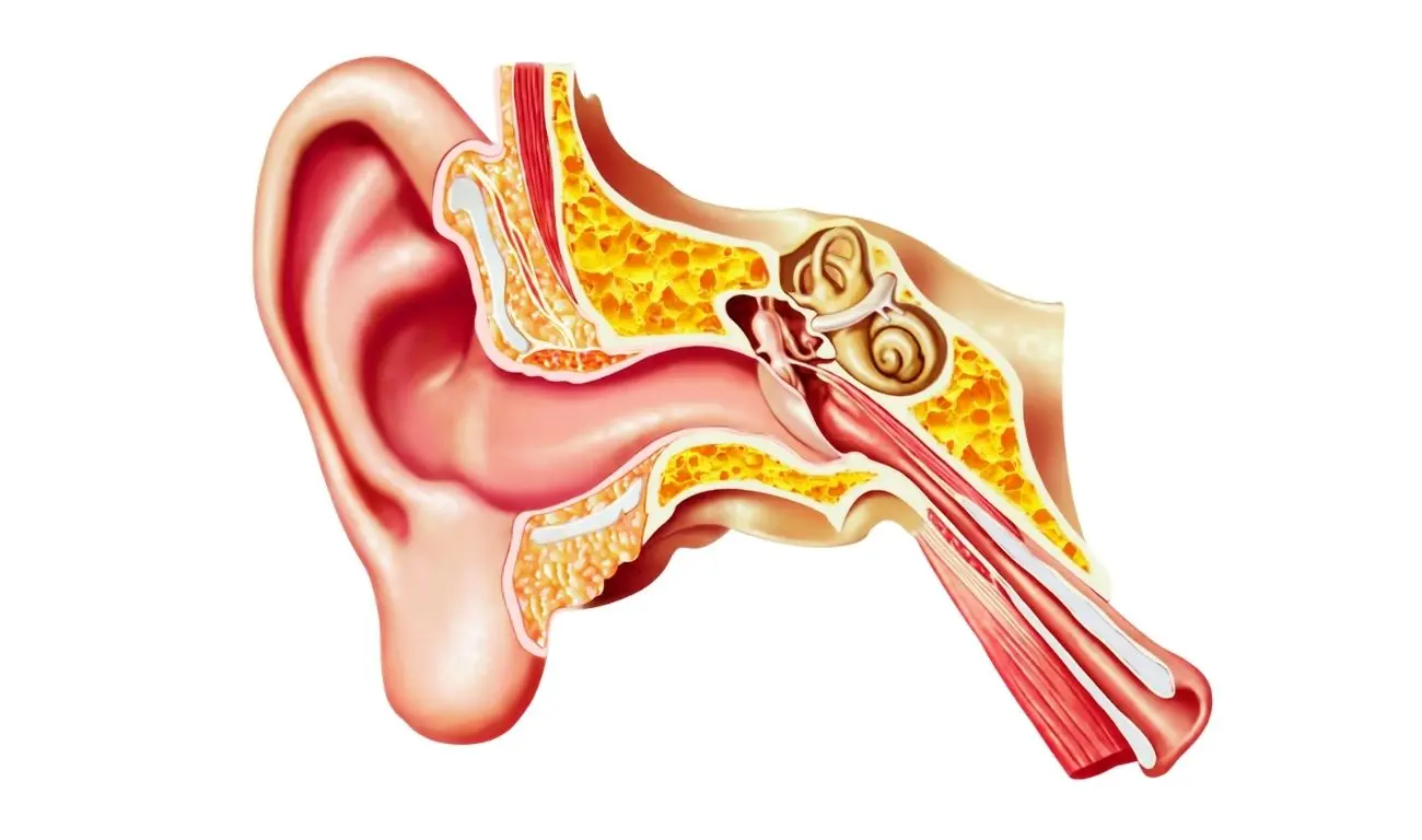 OPT_EarInfection
